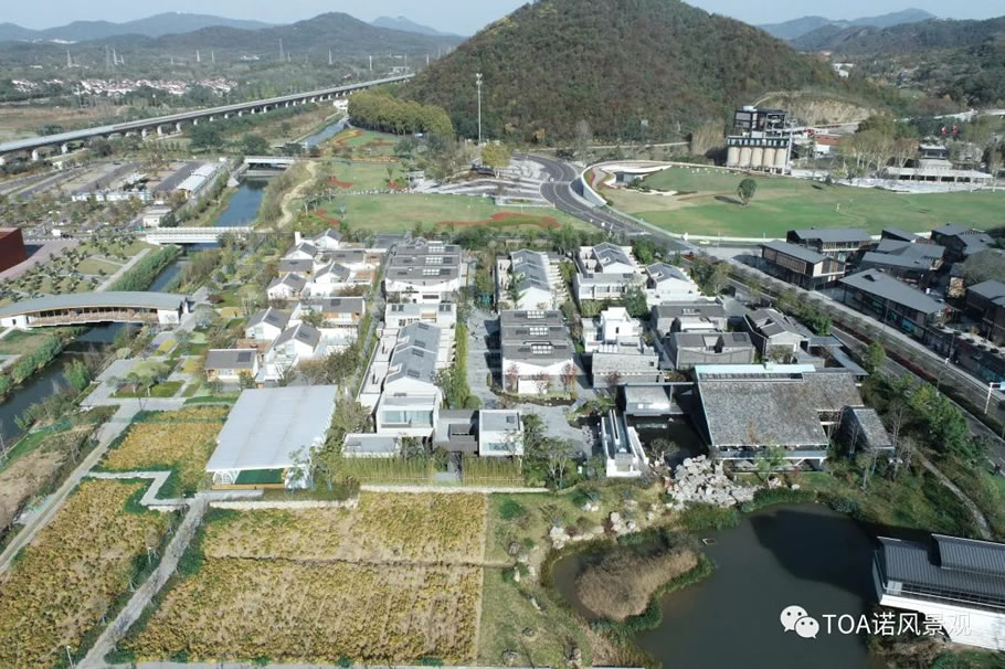 南京园博园 VOCO 酒店丨中国南京丨TOA 诺风景观设计咨询（上海）有限公司-14