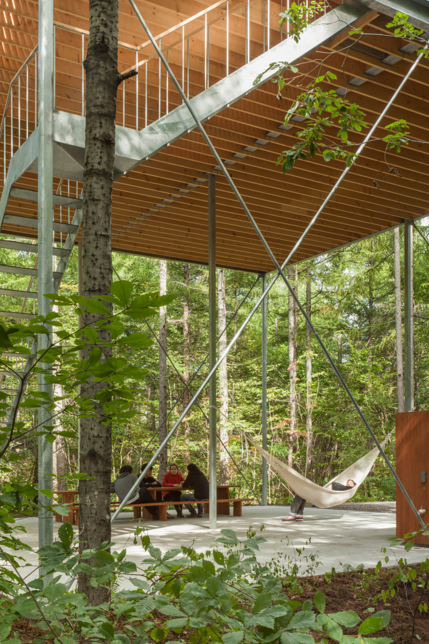 森林中的支柱(在建筑学里,pilotis一般指建筑底层架空的支柱;若结合语境有其他更合适的含义,可根据实际情况调整) 丨日本群马丨Go Hasegawa,Shu Yamamoto-3