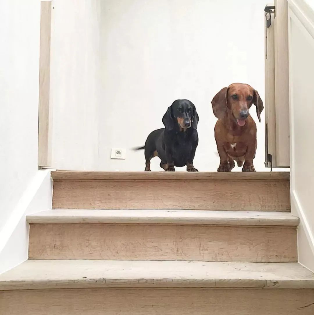 比利时设计师 Vincent Van Duysen 的极简主义家居艺术-54