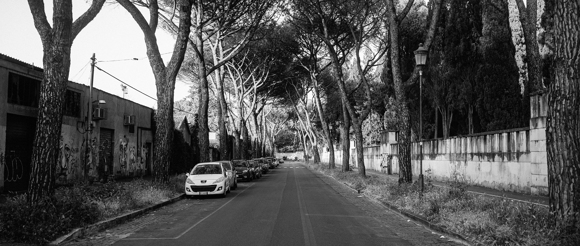 未命名丨Alexander Rentsch-8