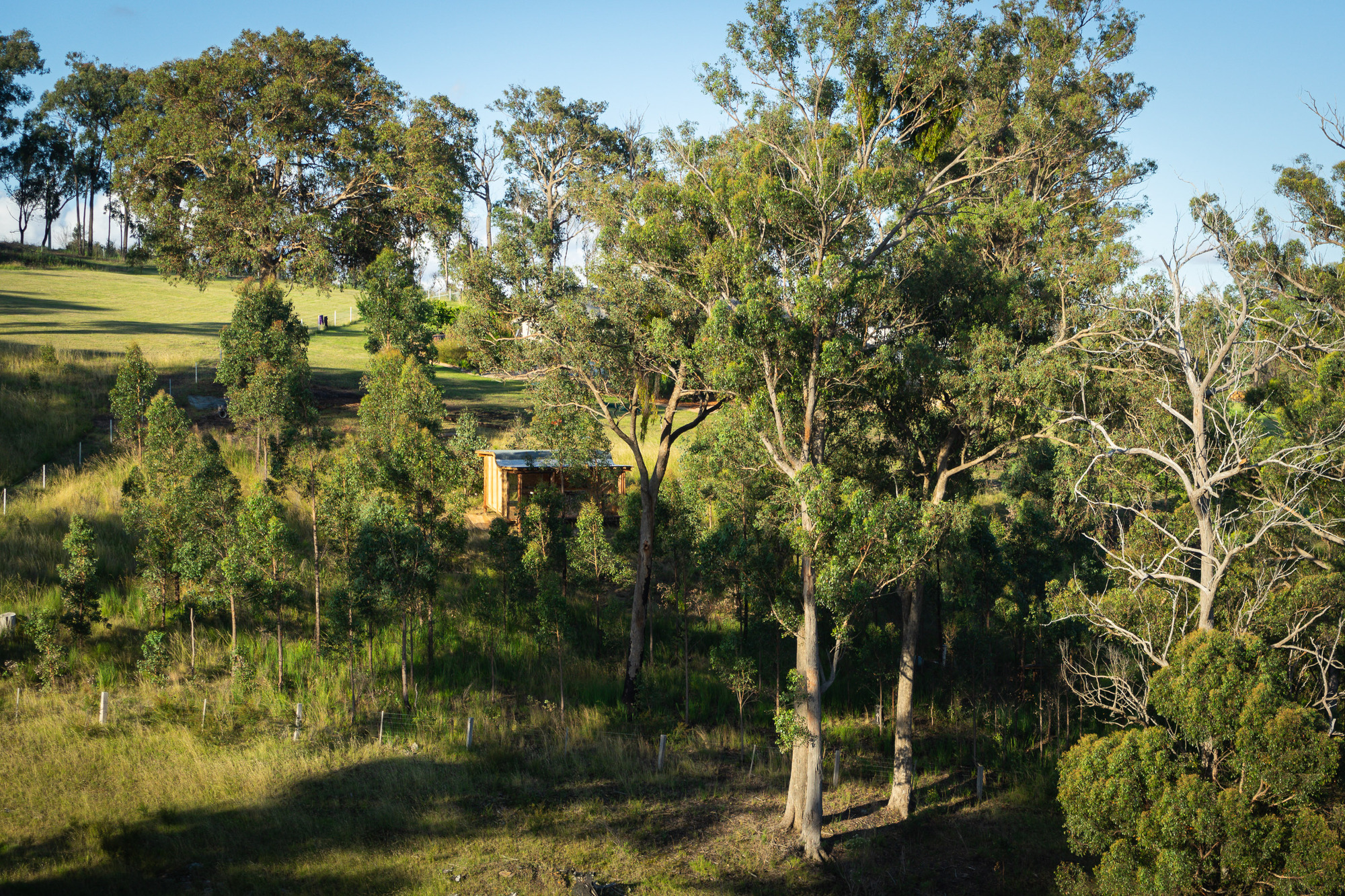 一个观看树木生长的地方丨澳大利亚丨Green Studio-26