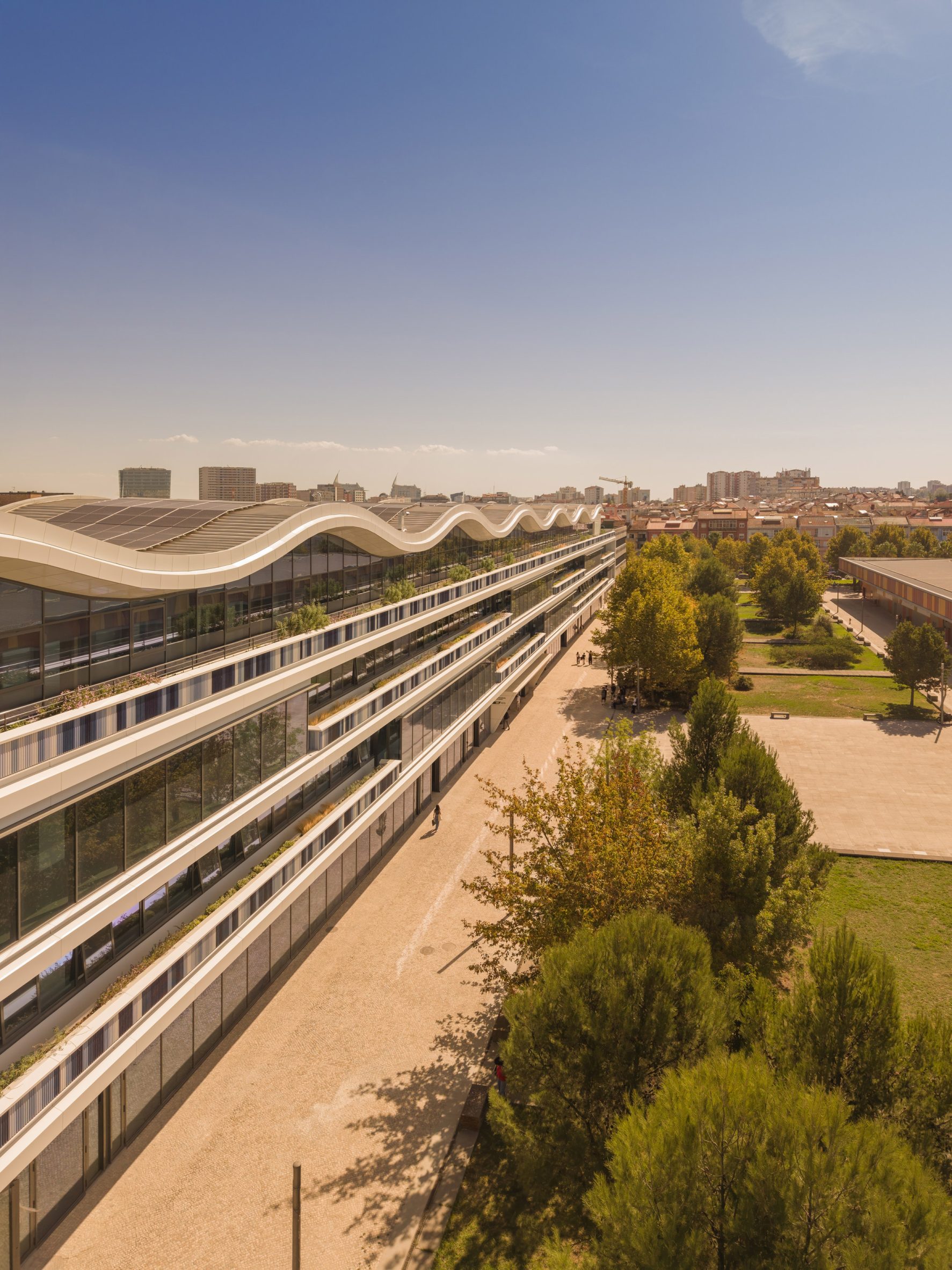 东方绿色校园丨葡萄牙里斯本丨KPF,Saraiva+Associados-3