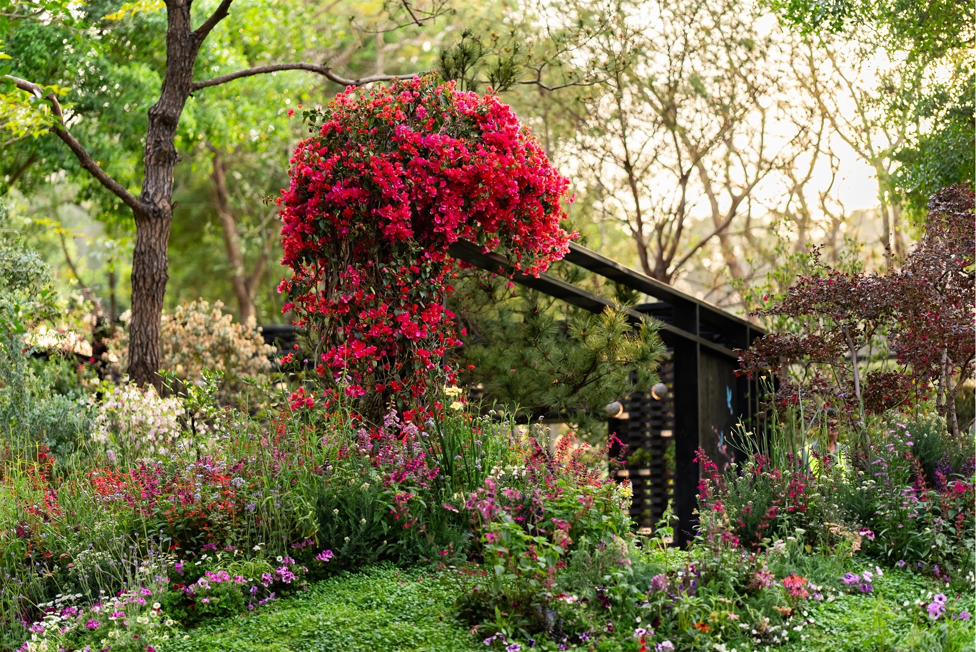 2024粤港澳大湾区花展宝安区城市花园·绮云书香丨中国深圳丨林俊英景观工作室&深圳市造源景观旅游规划设计有限公司-11