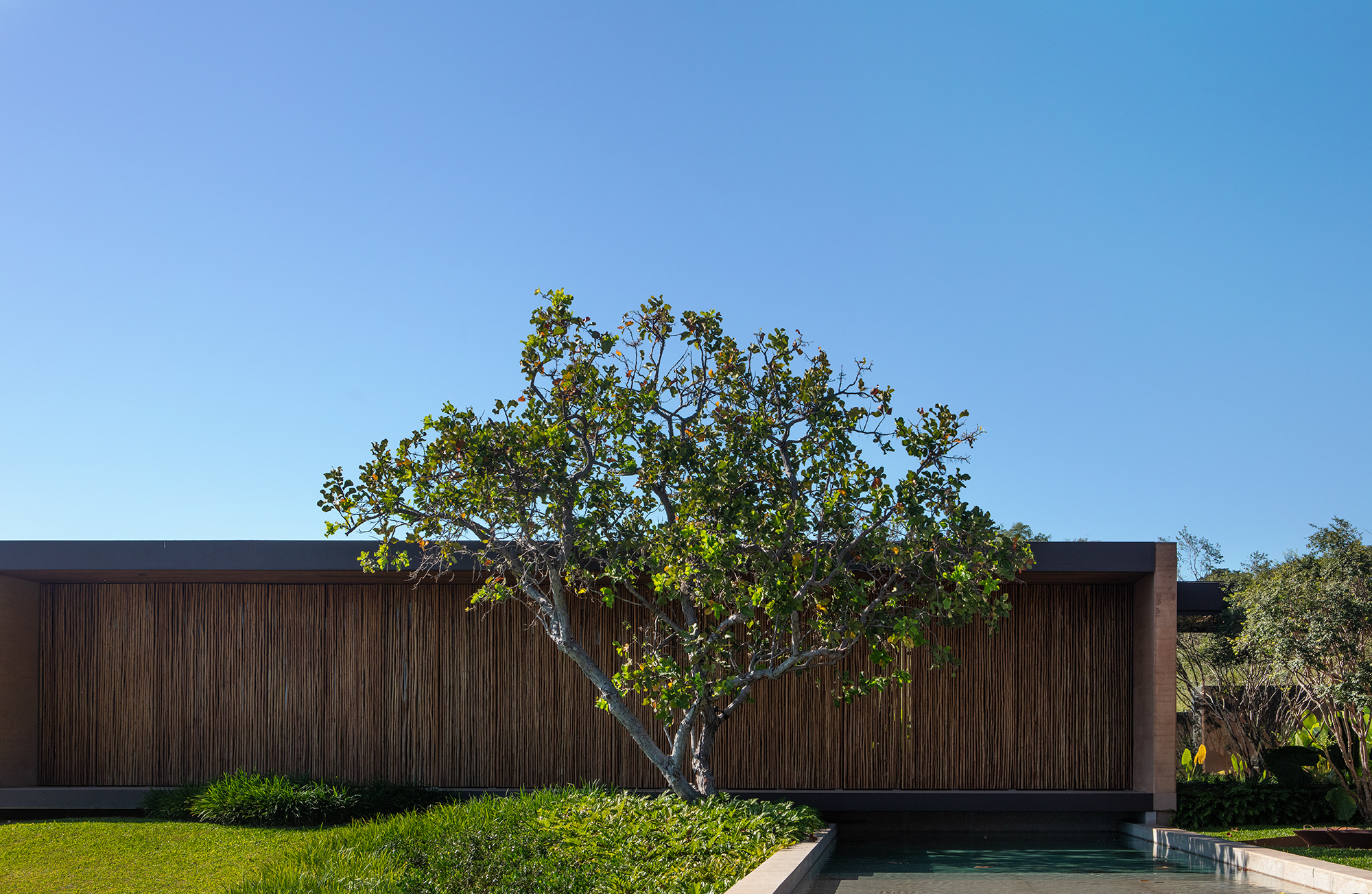 丨巴西巴西利亚-58