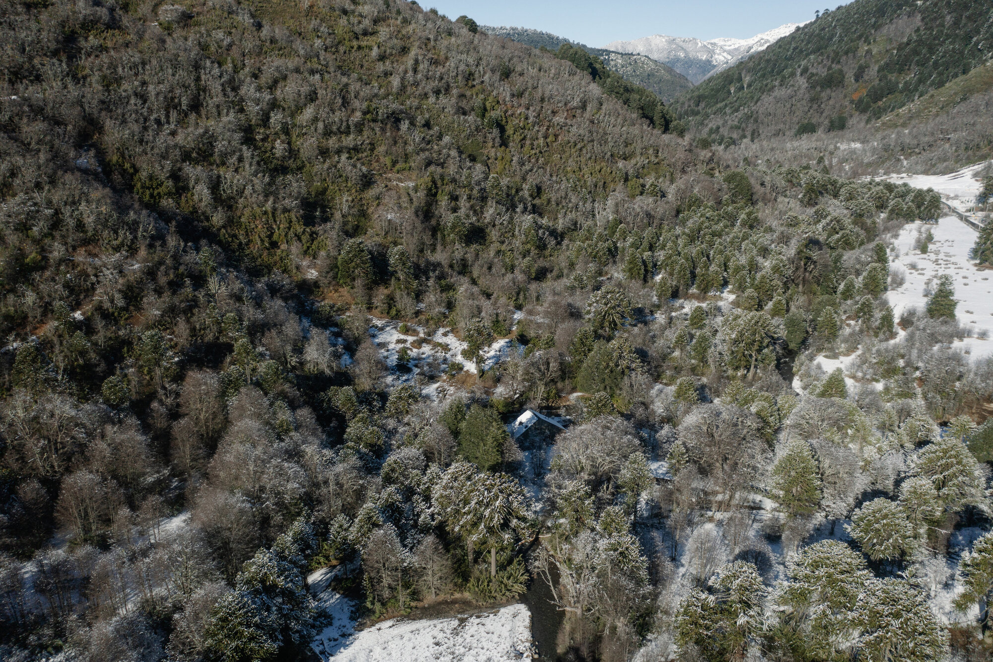 考廷河畔的房子丨智利丨Iragüen Viñuela Arquitectos-39