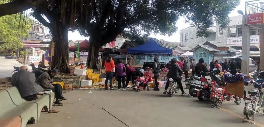 南社明清古村落西入口改造设计丨中国东莞丨东大（深圳）设计有限公司-20