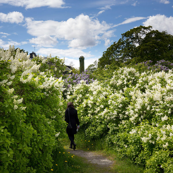 Waldemarsudde维护与发展项目丨瑞典斯德哥尔摩丨Tengbom-34