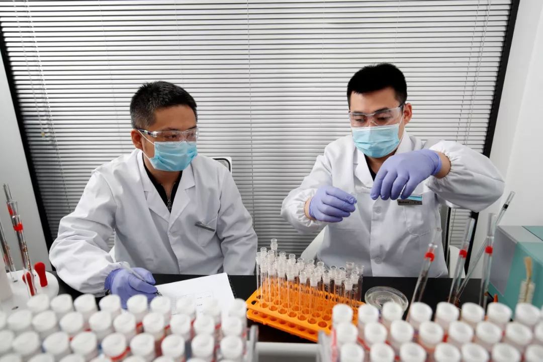 博洛尼环保实验室揭秘 | 健康家居的守护者-11