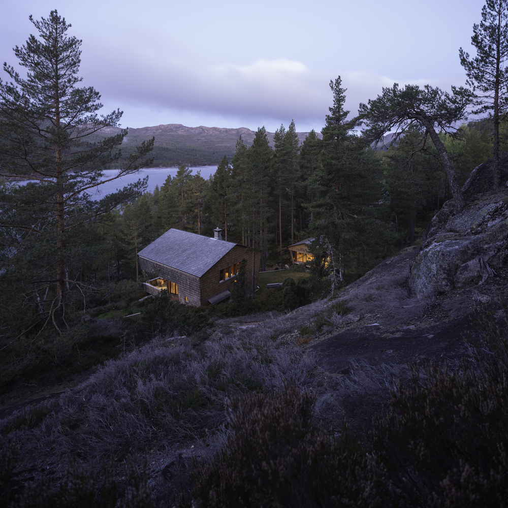 挪威杜鹃的巢室-10