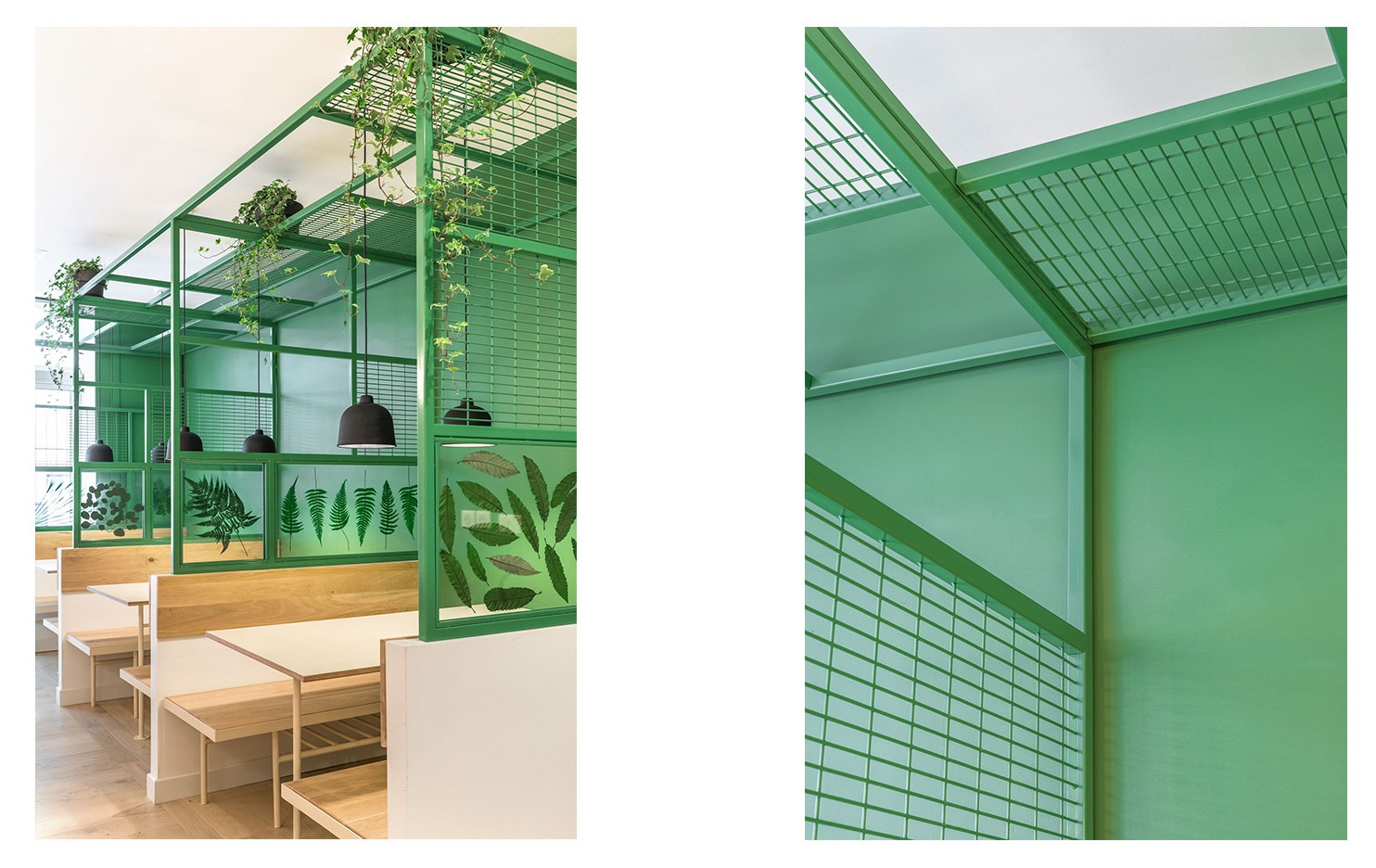 青竹绿清新餐馆-11