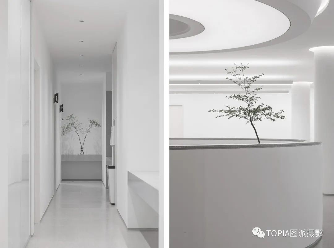 白色艺术 | TT“の”蝶放-42