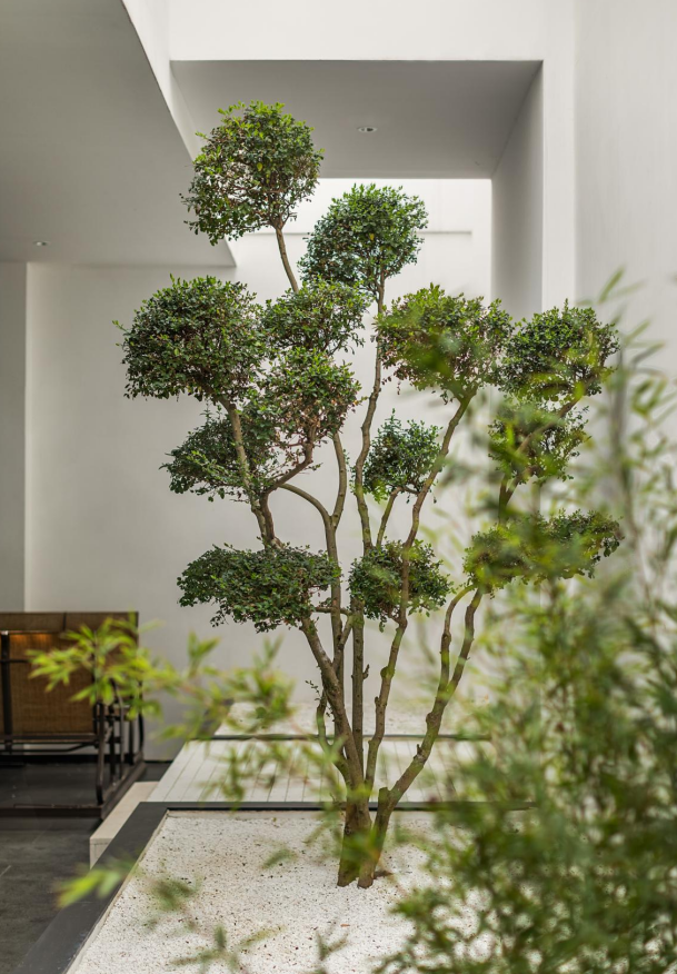 自然有机别墅空间设计丨孔令芝-12