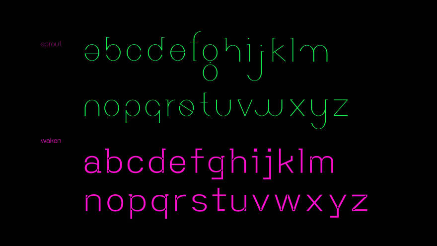 印刷字体展览-9