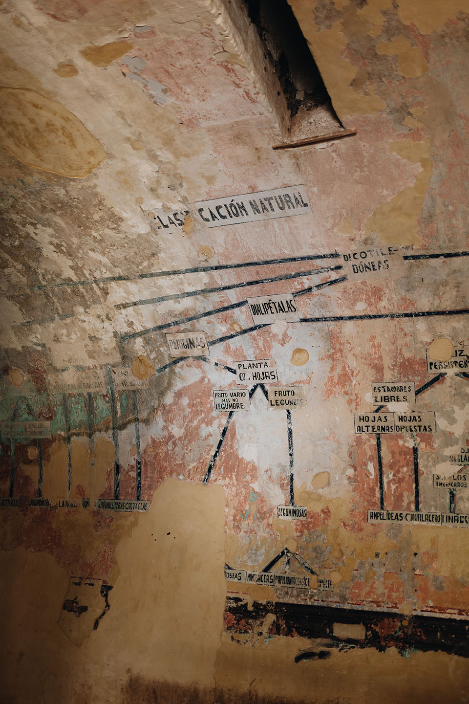 墨西哥Oa·aca美食中心丨RootStudio事务所-43