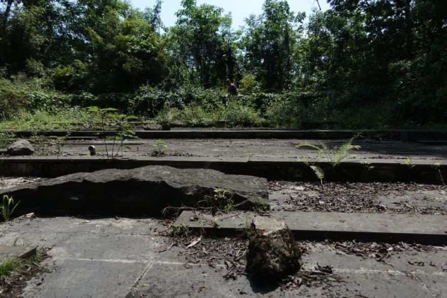 鹿野苑,经验与体验之间丨碎片笔记-98