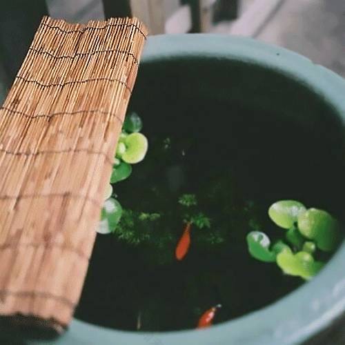 竹帘茶香 | 传统与现代的完美融合-28