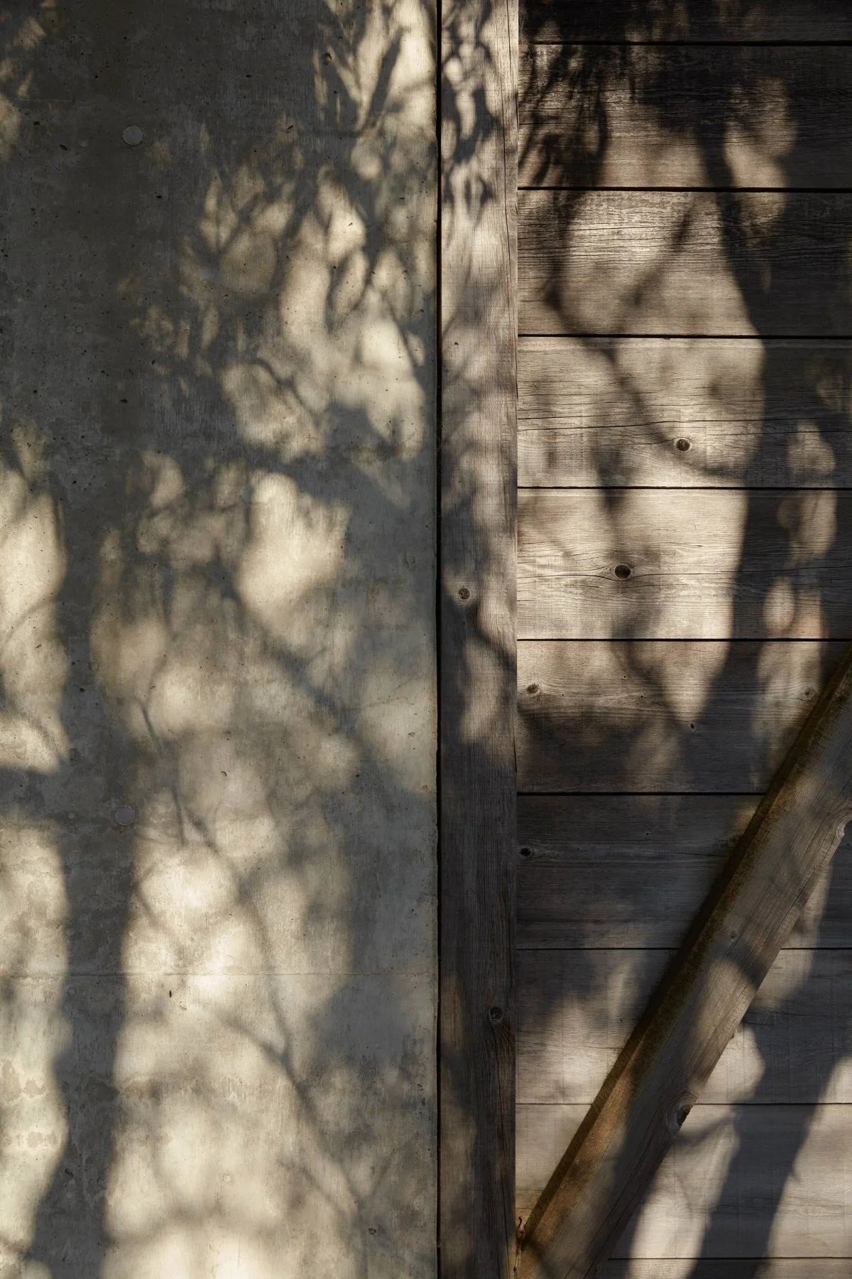 图勒恩韦尔住宅丨澳大利亚丨Paul Couch-3