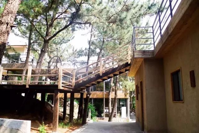 她在青岛建了一座有故事的民宿，只为让这座喧嚣的城市有一处安静角落-17