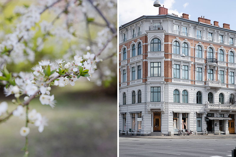 瑞典马尔默中心古典奢华风格的暗色调公寓设计-34