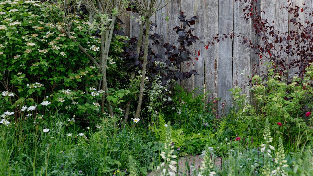 切尔西花园展最佳展示花园 | M&G 花园-219