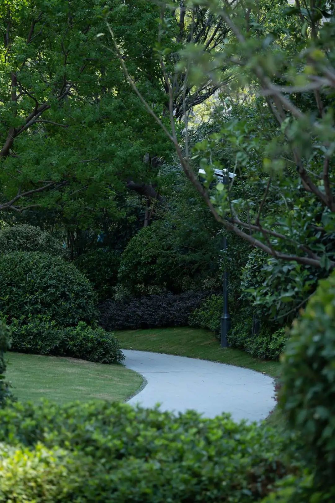 上海中海长宁ONE居住大区丨中国上海丨LAURENT罗朗景观-32