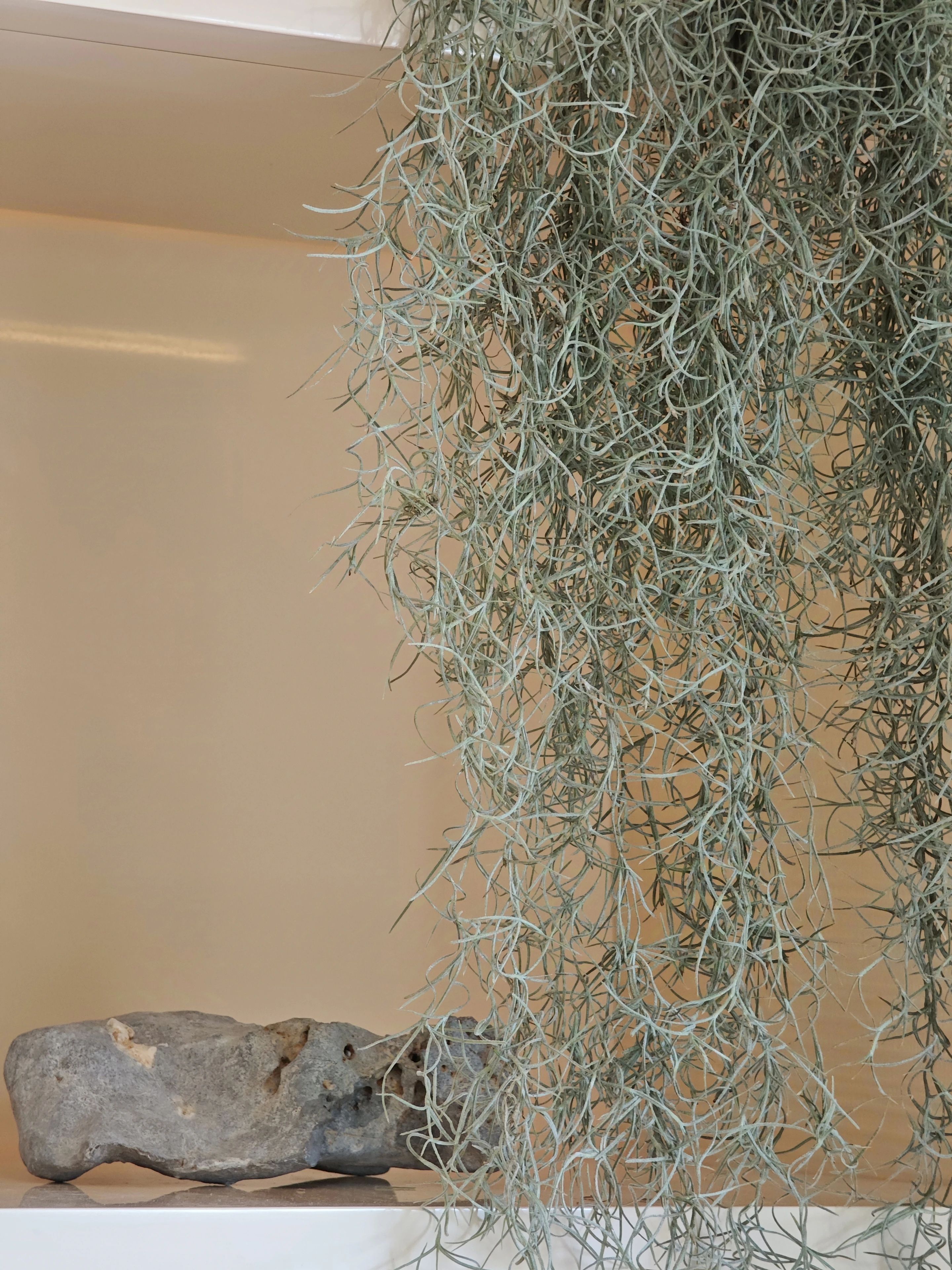 上海建筑师夫妇的极简自宅丨中国上海丨SUUKO DESIGN 肃可设计-27