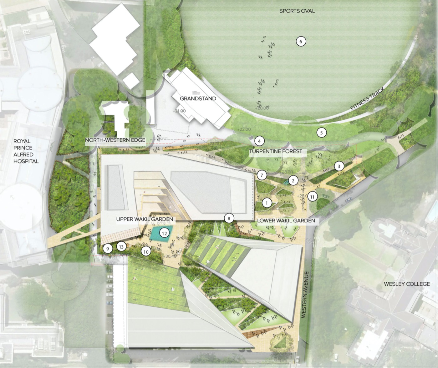 悉尼 Susan Wakil 健康区丨澳大利亚悉尼丨Arcadia Landscape Architecture-3