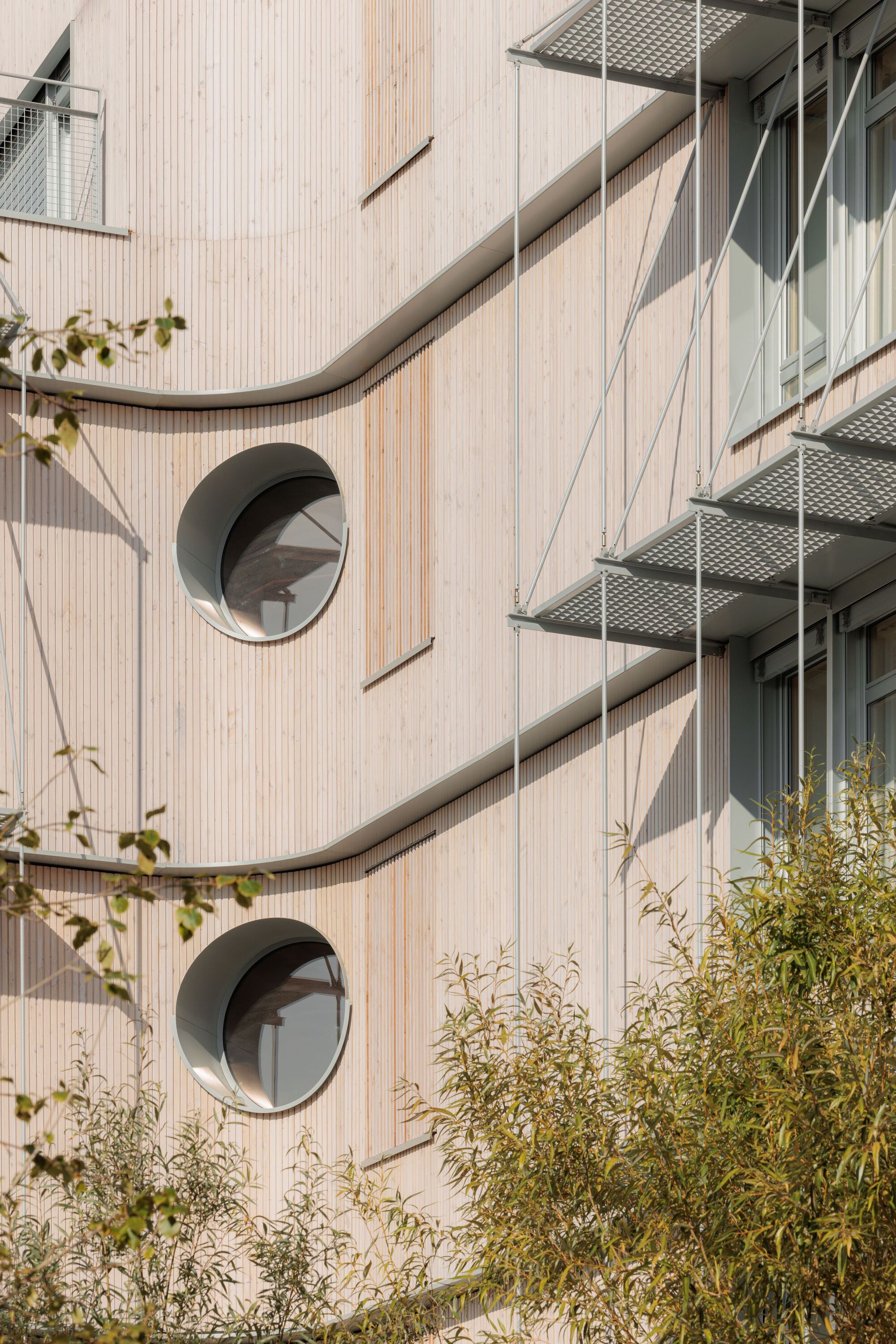 多米尼克·弗雷洛学校集团丨法国丨Tectoniques-50