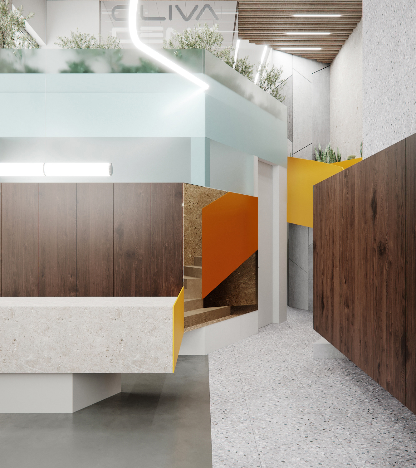 奥利瓦牙科丨俄罗斯莫斯科丨Duo studio-15