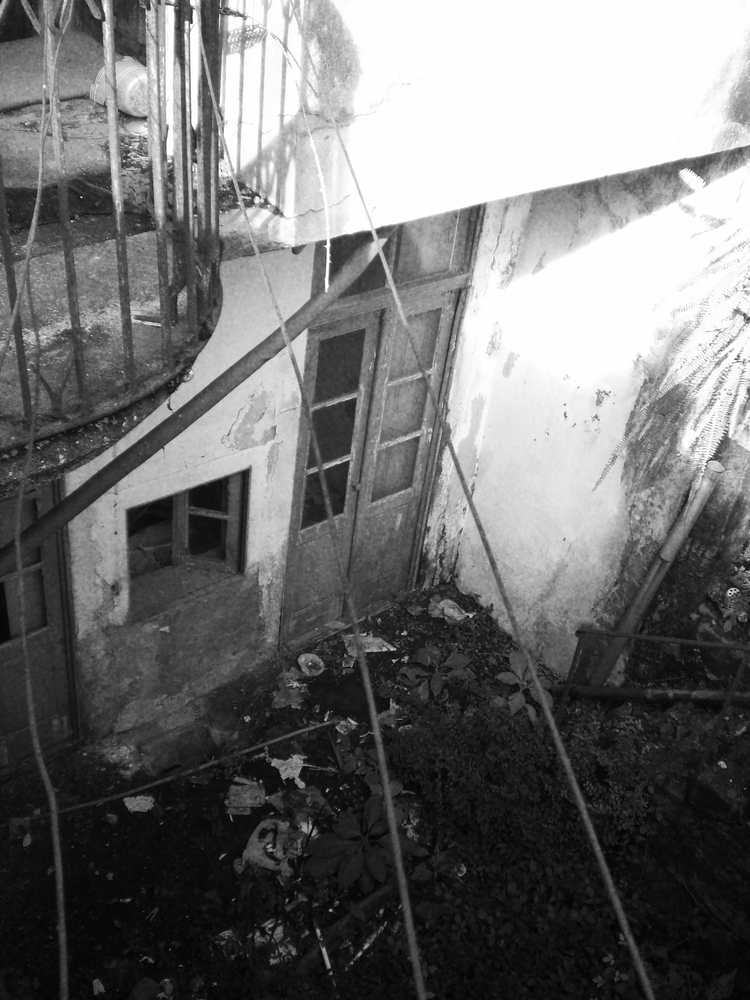 葡萄牙波尔图 19 世纪老宅的现代重生-66