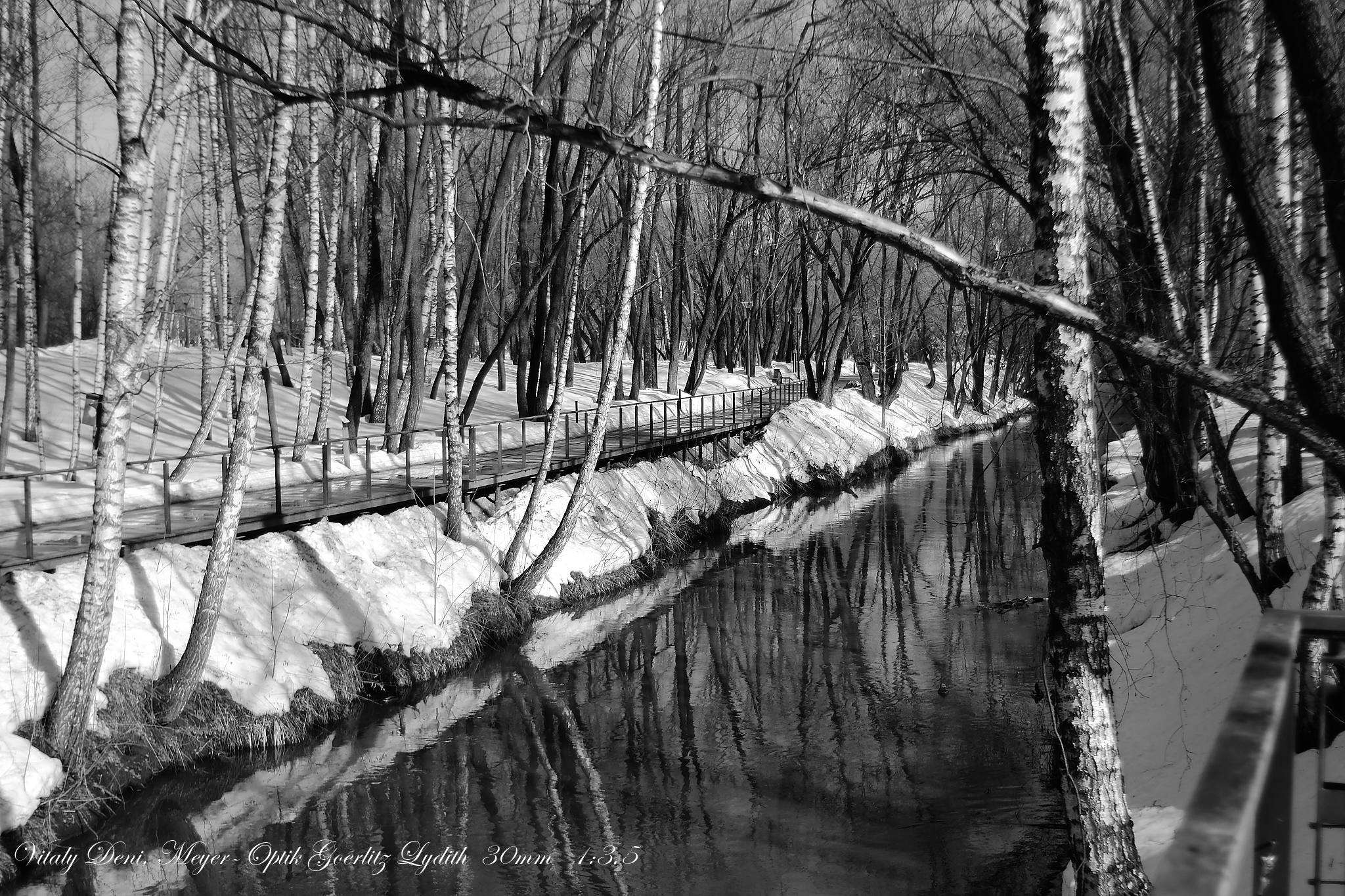 黑白早春绘画系列创作-12