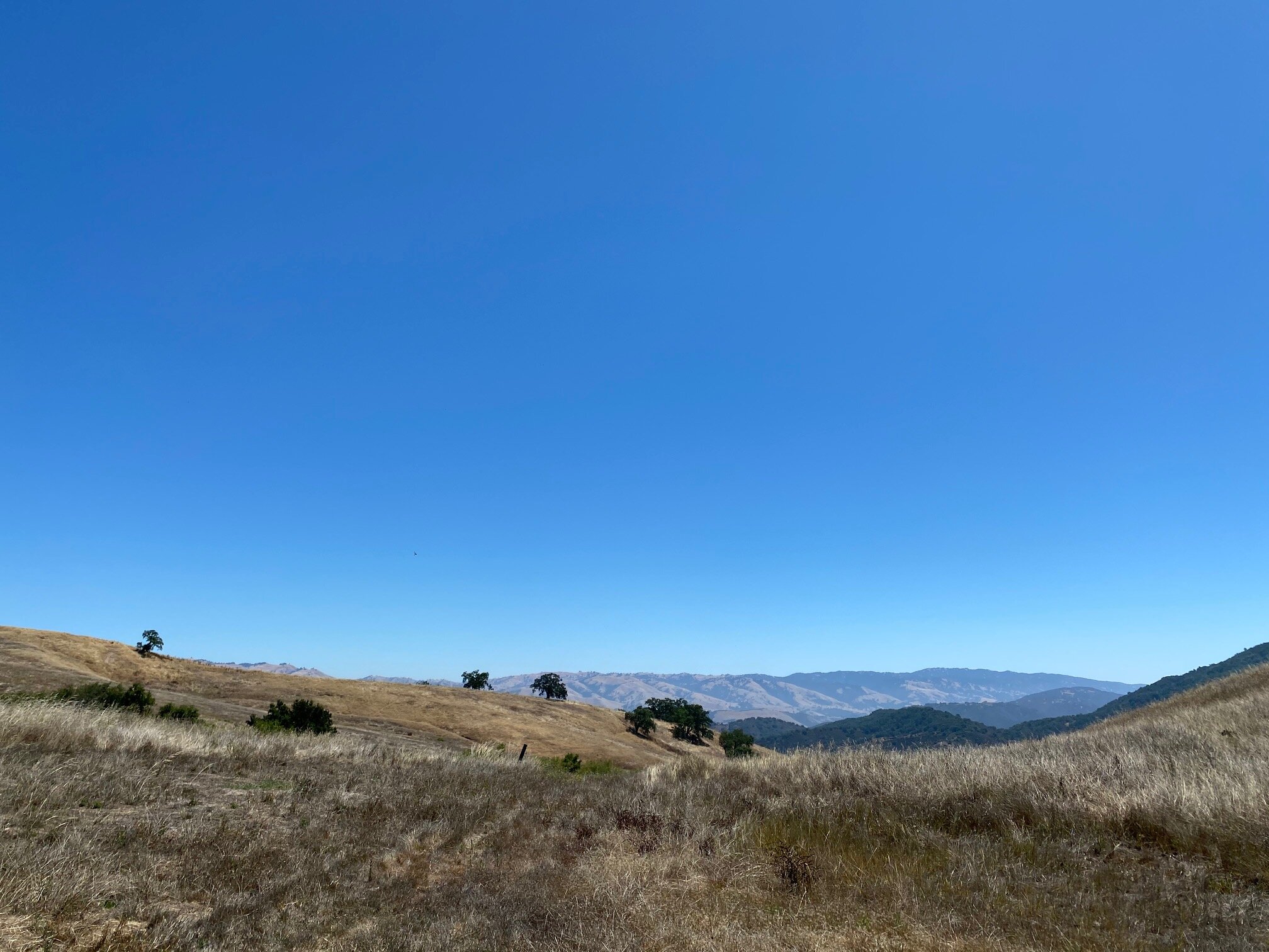 Santa Lucia Preserve Six — Richard Beard Architects_files Richard Beard Architects-6