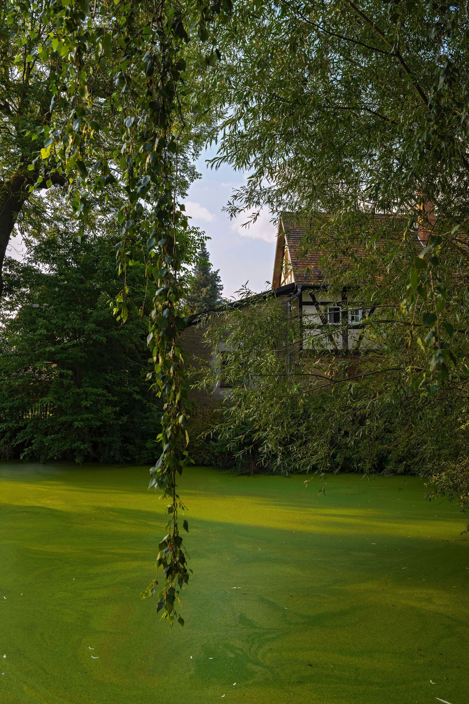 Studio Oink 200 年历史木构架房屋改造丨德国莱比锡-69