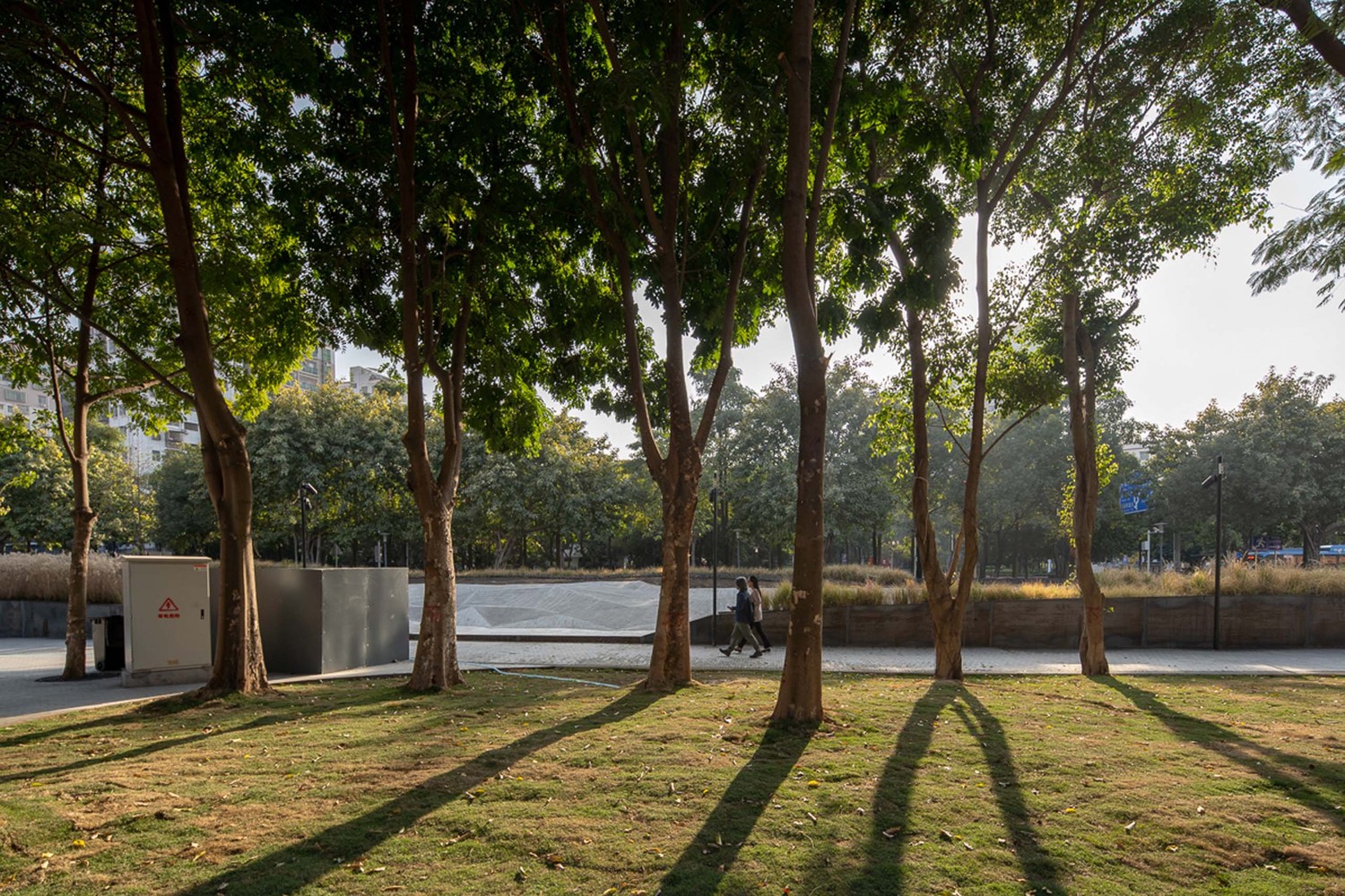 深圳大地的记忆-6