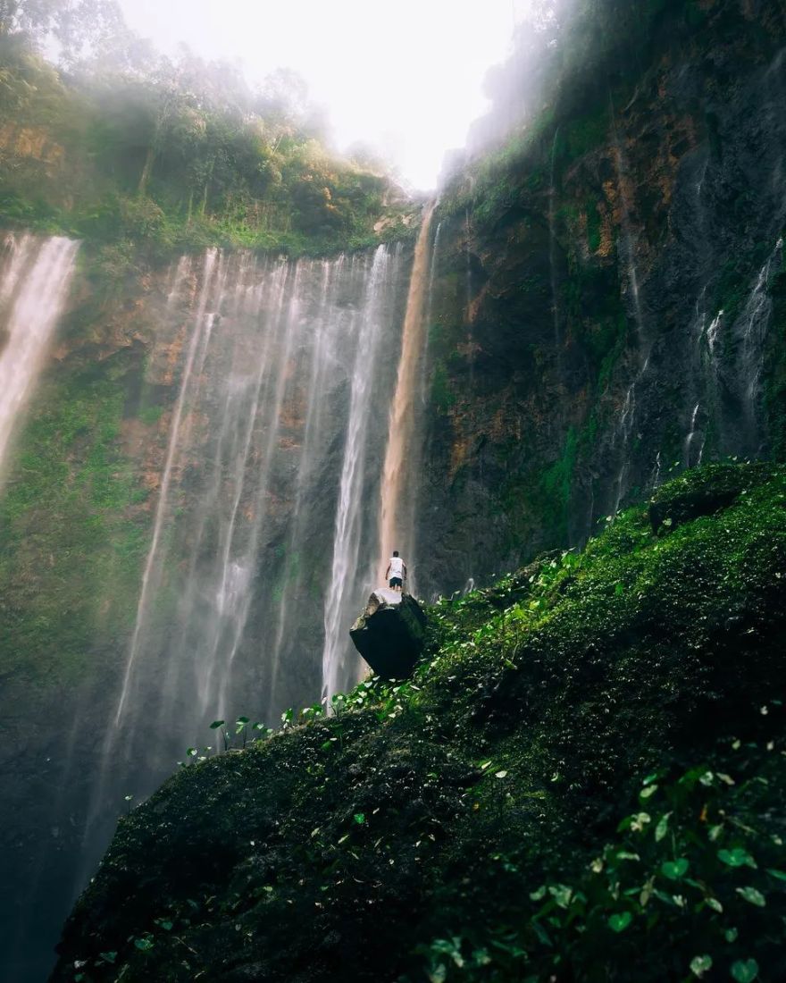 绿色震撼心灵 | 全球绿色摄影大赛获奖作品欣赏-123