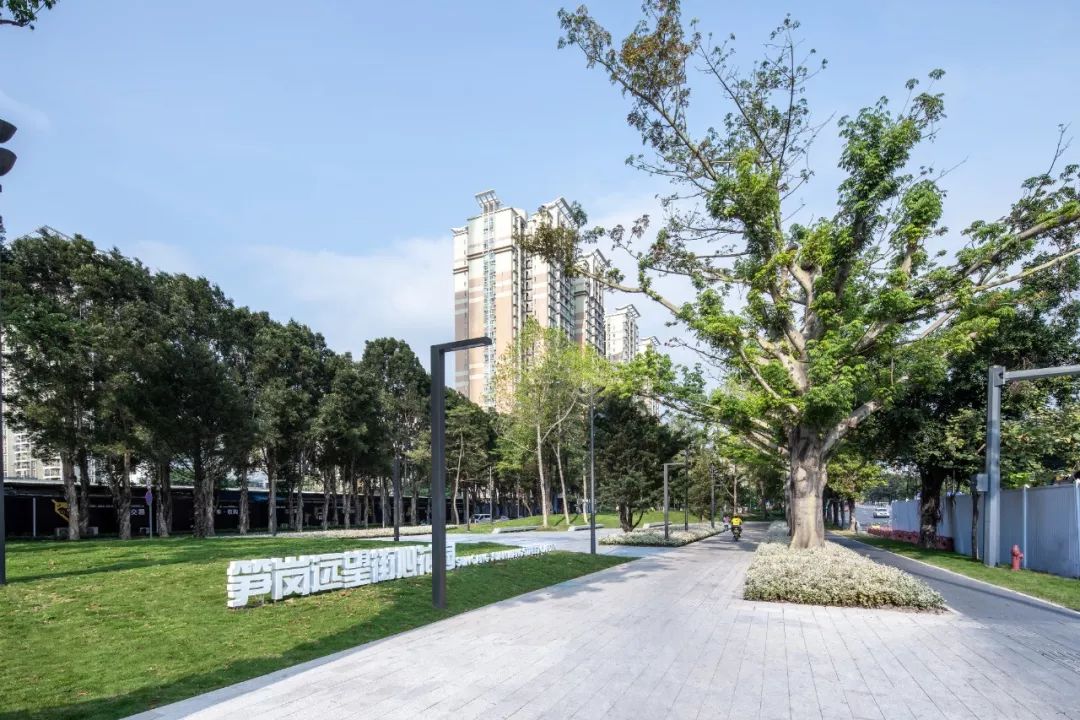 深圳罗湖“三横四纵”绿廊生活-18