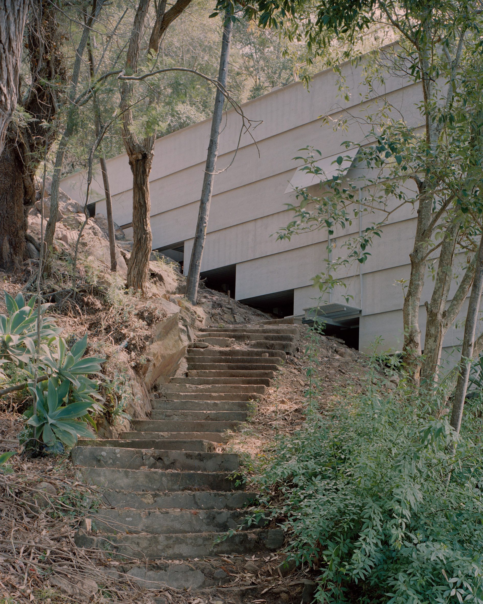 澳洲悬崖木屋 | Leopold Banchini Architects 的生态杰作-7