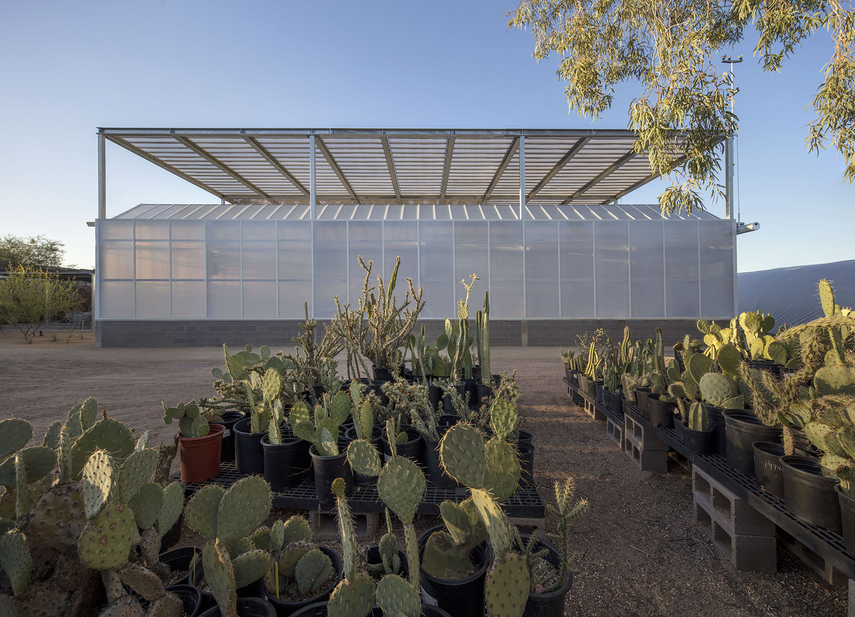 沙漠植物园一期丨美国-87