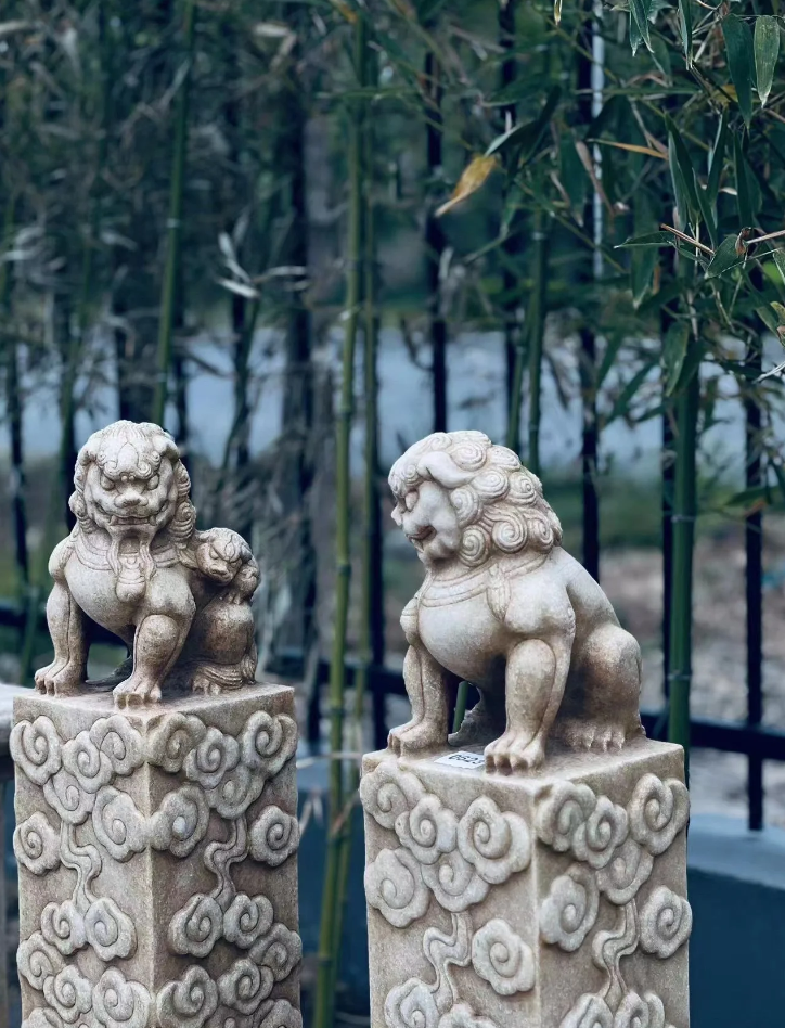 苏州园林之美 · 传统元素演绎现代美学丨中国苏州丨苏州裕成园林-24