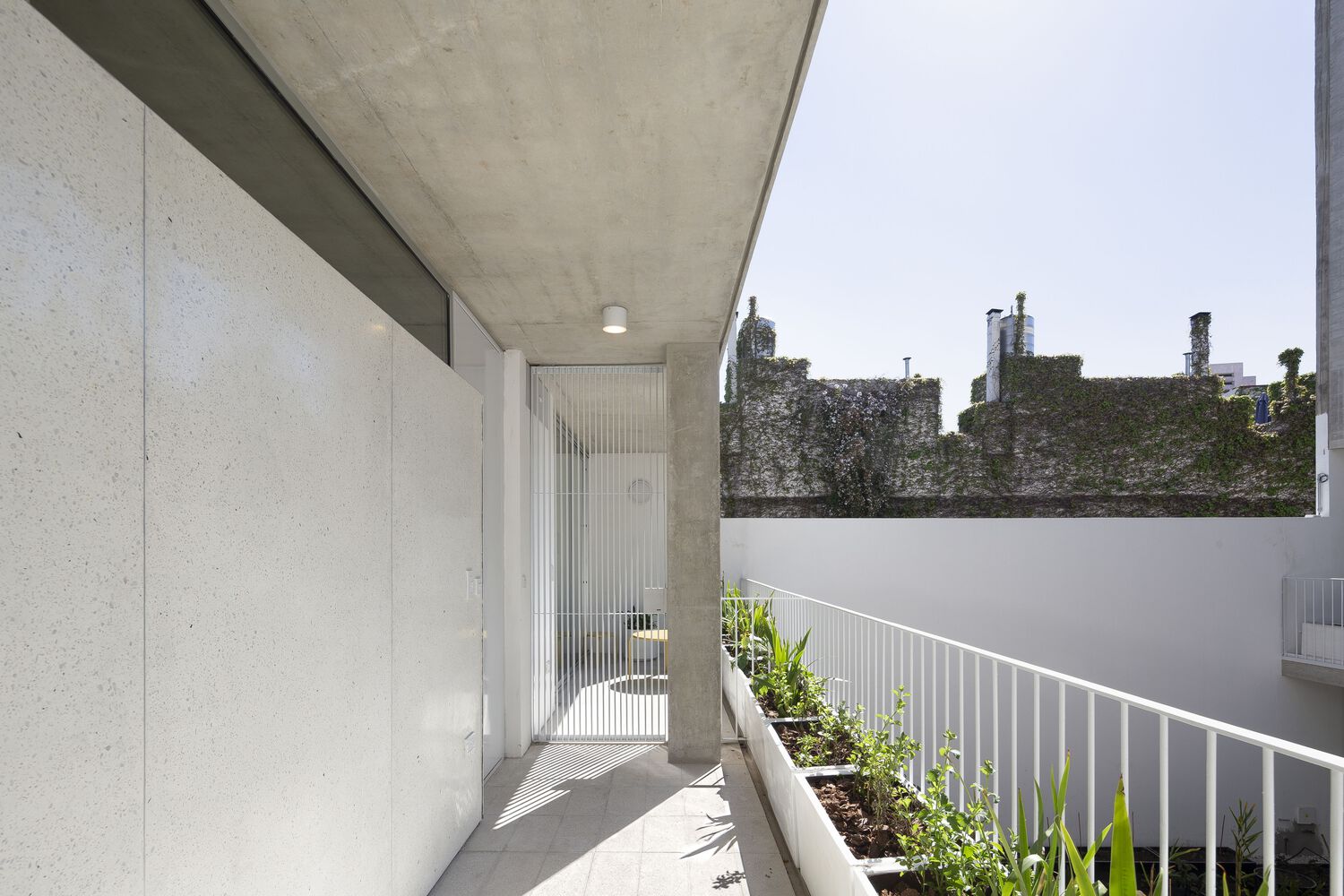 阿根廷混凝土住宅楼丨阿根廷布宜诺斯艾利斯丨Cottet Iachetti Arquitectos-30