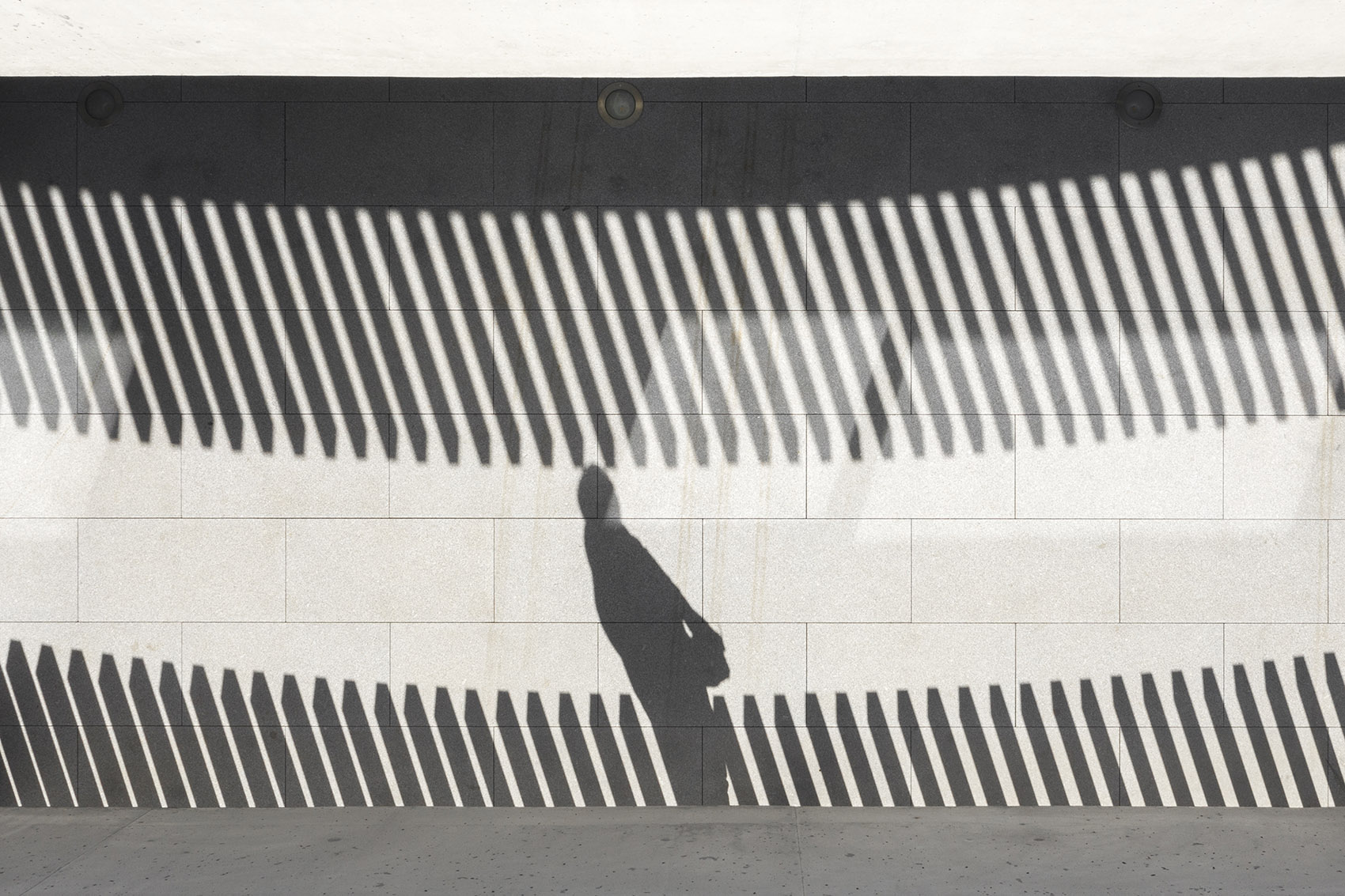 STEELFORM 工厂扩建丨葡萄牙-112