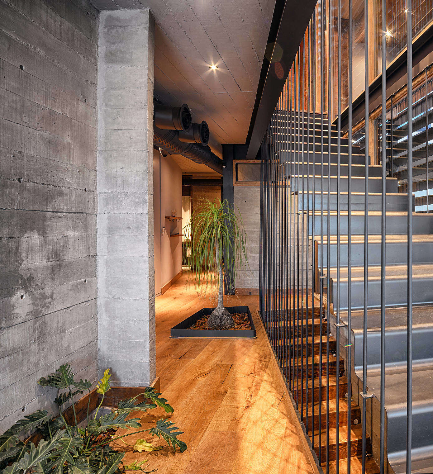 墨西哥混凝土住宅 | 现代轻工业风与木材的完美结合-9