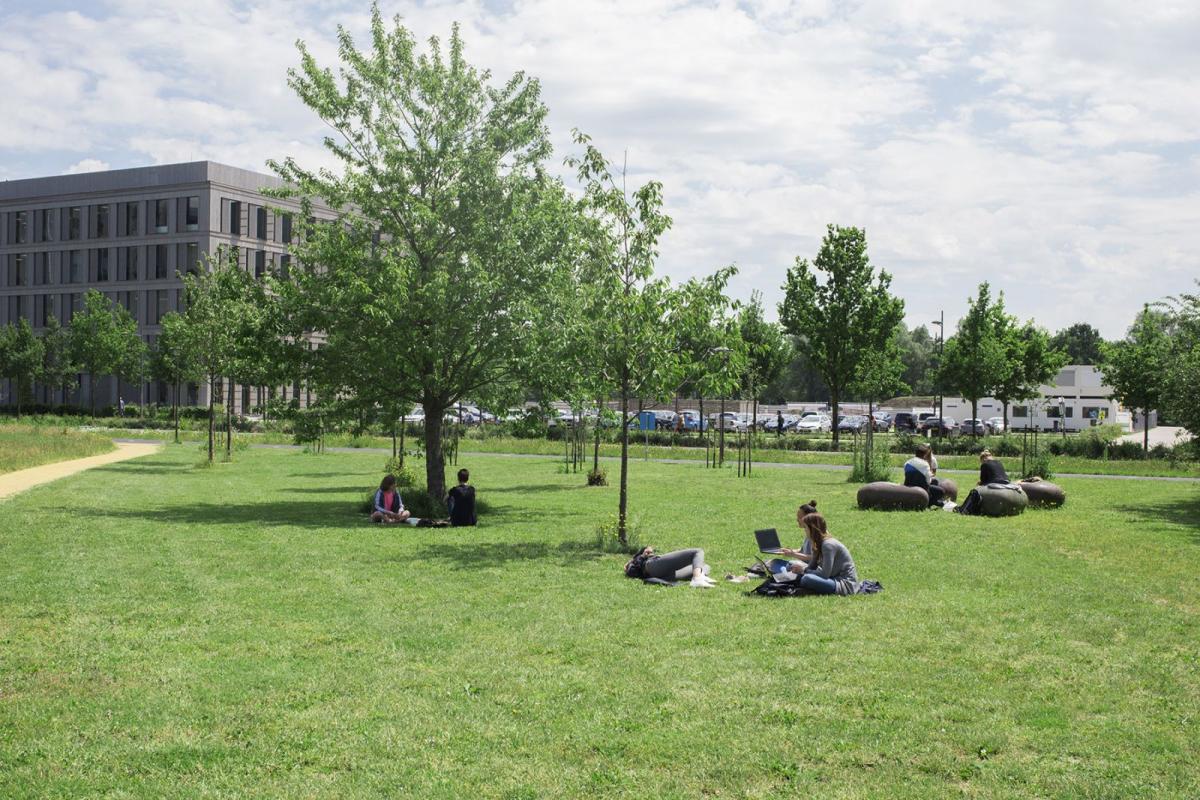 Wageningen大学校园监督及空间开发项目丨Loos van Vliet,Quist Wintermans等多家-5