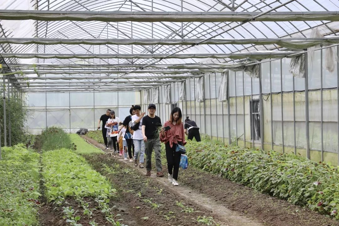 山高水长,农庄诗意的栖居-11