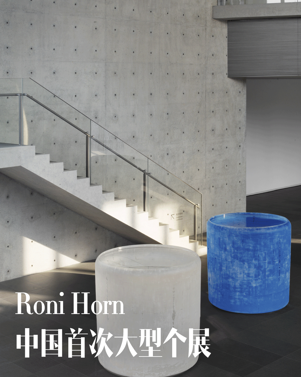 和美术馆“罗尼·霍恩:非梦 亦梦”个展丨中国佛山丨和美术馆,Roni Horn-0