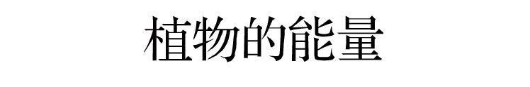 从南到北 · 童文敏的艺术项目丨中国重庆-16