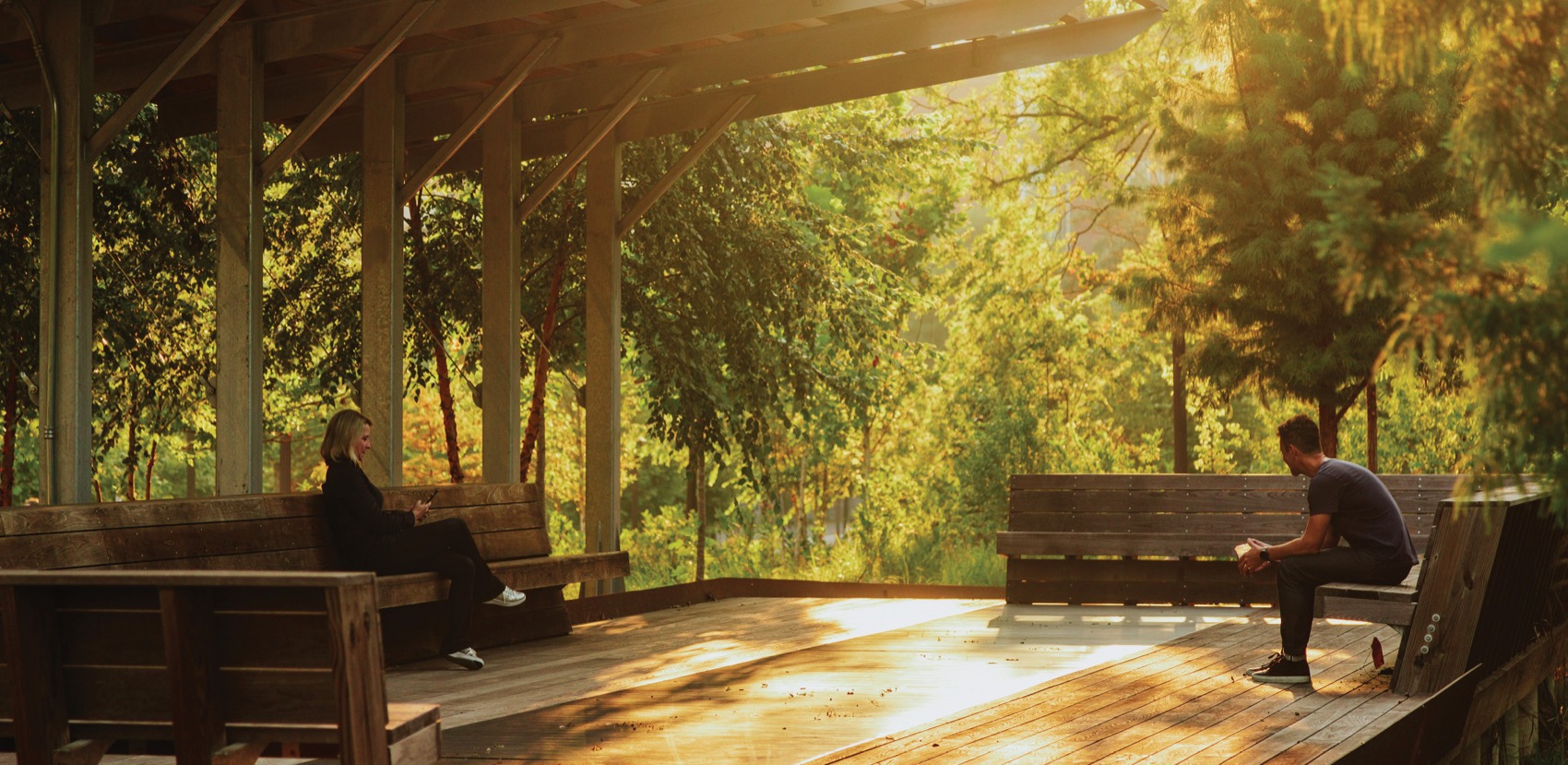 EcoCommons & 校园景观中的社会和生态弹性丨南非乔治-33