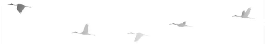 西迪国际景观中心春茗会-70