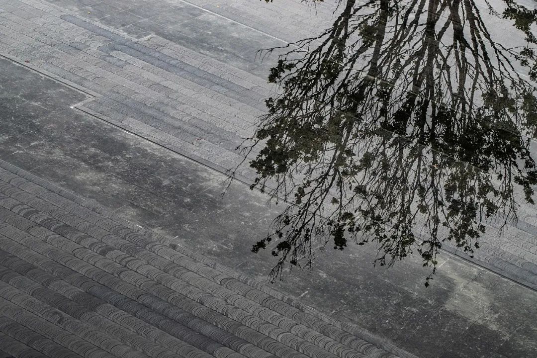  HILL希尔景观丨肇庆华侨城湾区西部品牌展示中心景观设计 丨中国广东-30