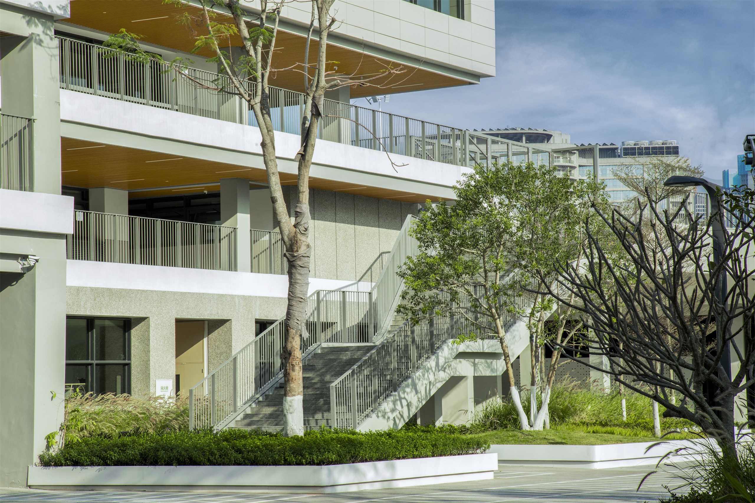 深圳市宝安中学(集团)海天学校丨中国深圳丨HILL 希尔景观-55